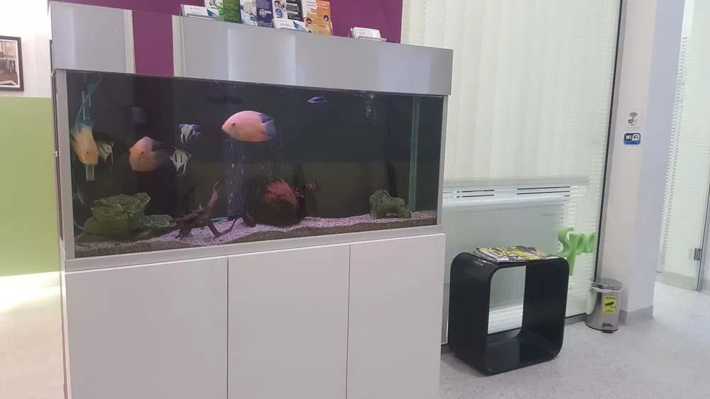 Akvarijum u ordinaciji